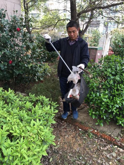 控制鼠害、預(yù)防疾病，構(gòu)建和諧文明社區(qū)